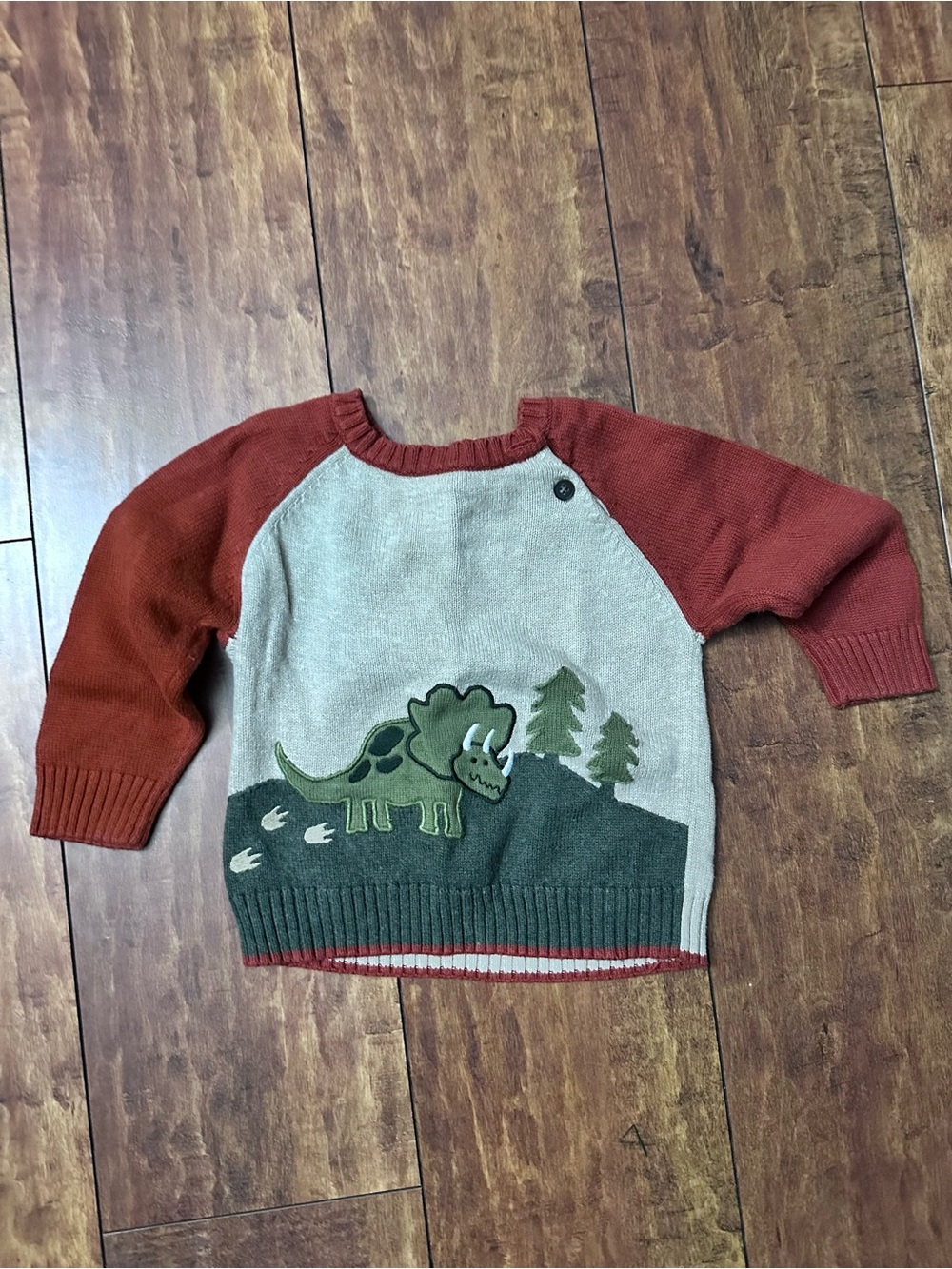 18 mth Kids Rust & Beige Dinosaur Knit Sweater